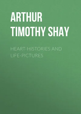 Timothy Arthur Heart-Histories and Life-Pictures обложка книги
