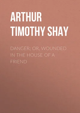 Timothy Arthur Danger; Or, Wounded in the House of a Friend обложка книги
