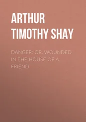 Timothy Arthur - Danger; Or, Wounded in the House of a Friend