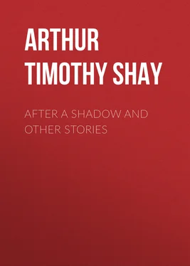 Timothy Arthur After a Shadow and Other Stories обложка книги