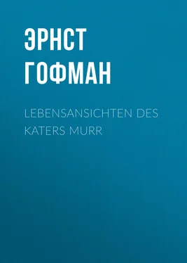 Эрнст Гофман Lebensansichten des Katers Murr обложка книги