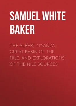 Samuel White Baker The Albert N'Yanza, Great Basin of the Nile, And Explorations of the Nile Sources обложка книги