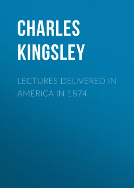 Charles Kingsley Lectures Delivered in America in 1874 обложка книги
