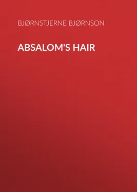 Bjørnstjerne Bjørnson Absalom's Hair обложка книги