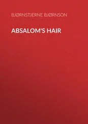 Bjørnstjerne Bjørnson - Absalom's Hair