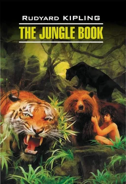 Редьярд Киплинг The Jungle Book / Книга джунглей. Книга для чтения на английском языке