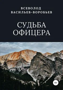 Всеволод Васильев-Воробьев Судьба офицера обложка книги