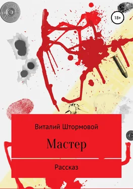 Виталий Штормовой Мастер обложка книги