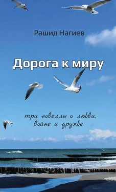 Рашид Нагиев Дорога к миру. Три новеллы о любви, войне и дружбе обложка книги