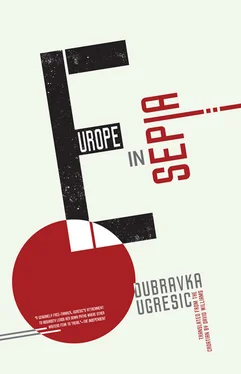 Dubravka Ugresic Europe in Sepia обложка книги