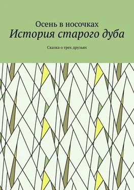 Осень в носочках История старого дуба. Сказка о трех друзьях обложка книги