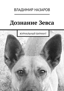 Владимир Назаров Дознание Зевса. Журнальный вариант обложка книги