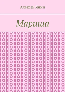 Алексей Янин Мариша обложка книги