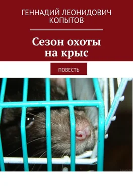 Геннадий Копытов Сезон охоты на крыс. Повесть обложка книги