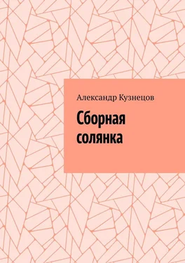 Александр Кузнецов Сборная солянка обложка книги