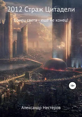 Александр Нестеров 2012 Страж Цитадели обложка книги