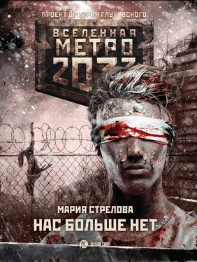 Мария Стрелова Метро 2033: Нас больше нет обложка книги