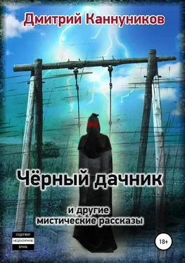 Дмитрий Каннуников Чёрный дачник и другие мистические рассказы обложка книги