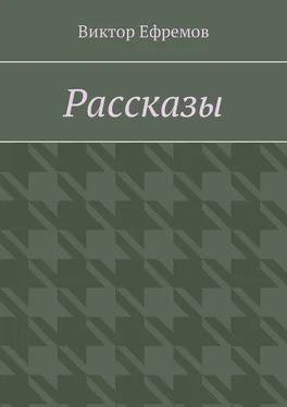 Виктор Ефремов Рассказы обложка книги