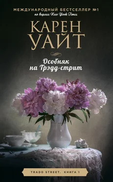 Карен Уайт Особняк на Трэдд-стрит обложка книги