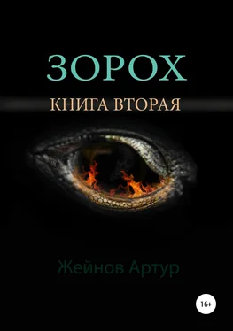 Артур Жейнов Зорох обложка книги