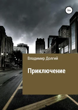 Владимир Долгий Приключение обложка книги