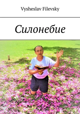 Vysheslav Filevsky Силонебие обложка книги
