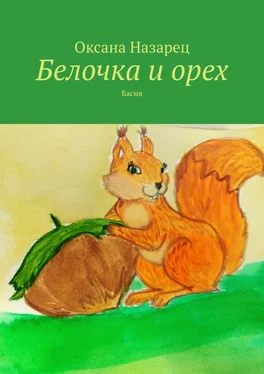 Оксана Назарец Белочка и орех. Басня обложка книги