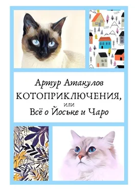 Артур Атакулов Котоприключения, или Всё о Йоське и Чаро обложка книги