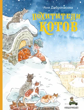 Аня Доброчасова Похитители котов обложка книги