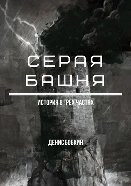 Денис Бобкин Серая башня обложка книги