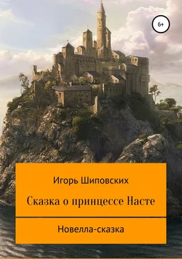 Игорь Шиповских Сказка о принцессе Насте обложка книги