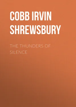 Irvin Cobb The Thunders of Silence обложка книги