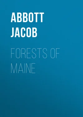 Jacob Abbott Forests of Maine обложка книги