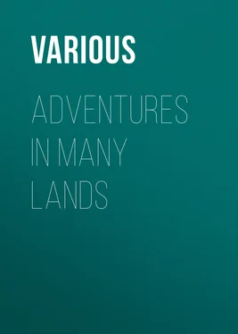 Various Adventures in Many Lands обложка книги