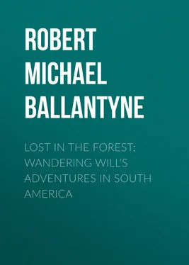 Robert Michael Ballantyne Lost in the Forest: Wandering Will's Adventures in South America обложка книги