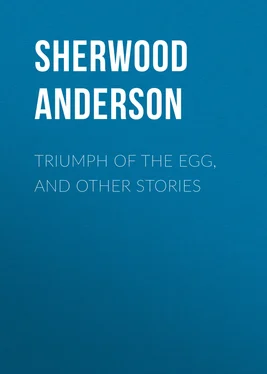 Sherwood Anderson Triumph of the Egg, and Other Stories обложка книги