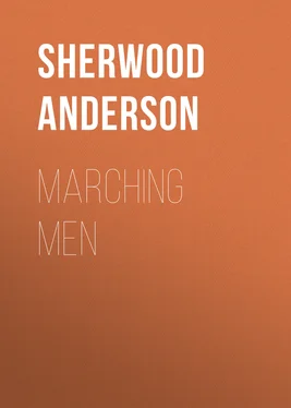 Sherwood Anderson Marching Men обложка книги