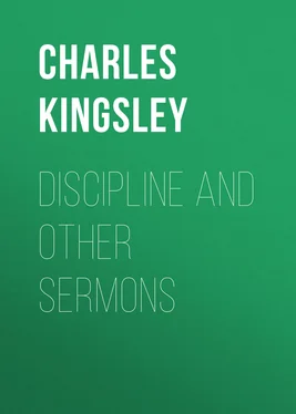 Charles Kingsley Discipline and Other Sermons обложка книги