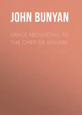 John Bunyan Grace Abounding to the Chief of Sinners обложка книги