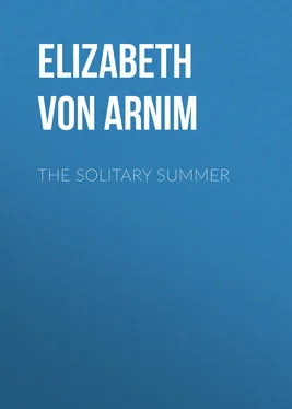 Elizabeth von Arnim The Solitary Summer обложка книги