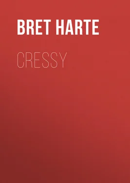 Bret Harte Cressy обложка книги