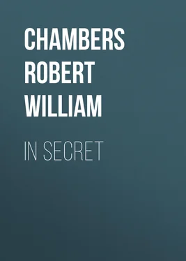 Robert Chambers In Secret обложка книги