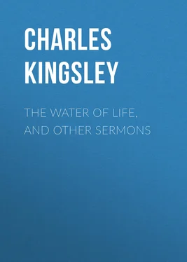 Charles Kingsley The Water of Life, and Other Sermons