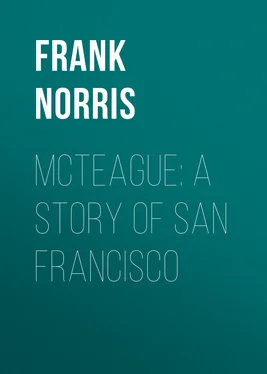 Frank Norris McTeague: A Story of San Francisco обложка книги