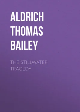 Thomas Aldrich The Stillwater Tragedy обложка книги