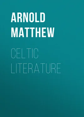 Matthew Arnold Celtic Literature обложка книги