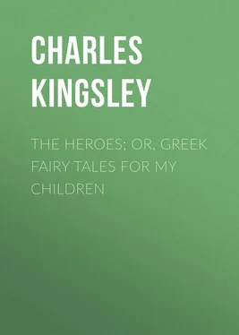 Charles Kingsley The Heroes; Or, Greek Fairy Tales for My Children обложка книги