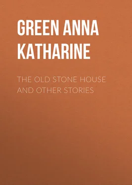 Anna Green The Old Stone House and Other Stories обложка книги