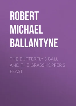 Robert Michael Ballantyne The Butterfly's Ball and the Grasshopper's Feast обложка книги